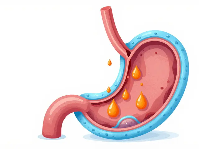 Gastritis Guide: Managing Stomach Lining Inflammation and H. pylori Treatment