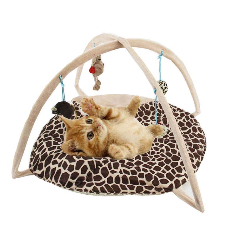 Best Kitten Toys