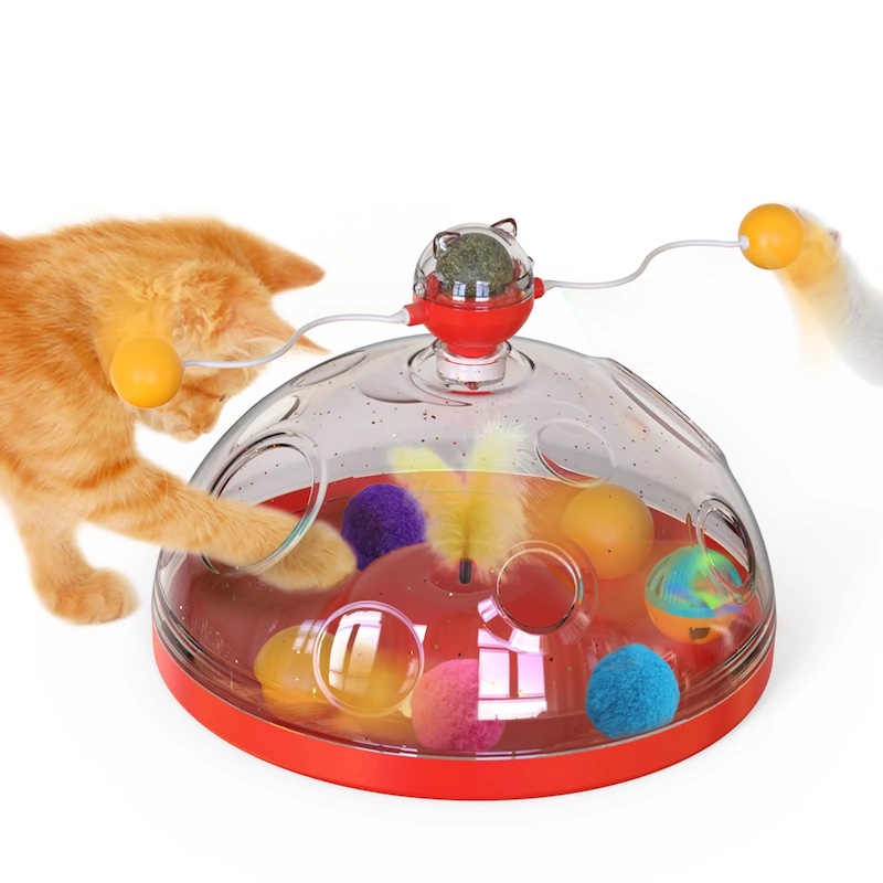 Best Kitten Toys