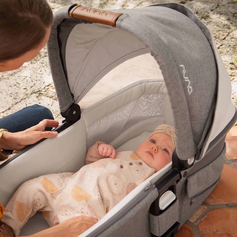 baby in bassinet stroller