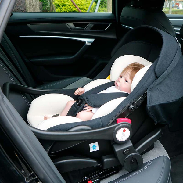 baby car seat carrier