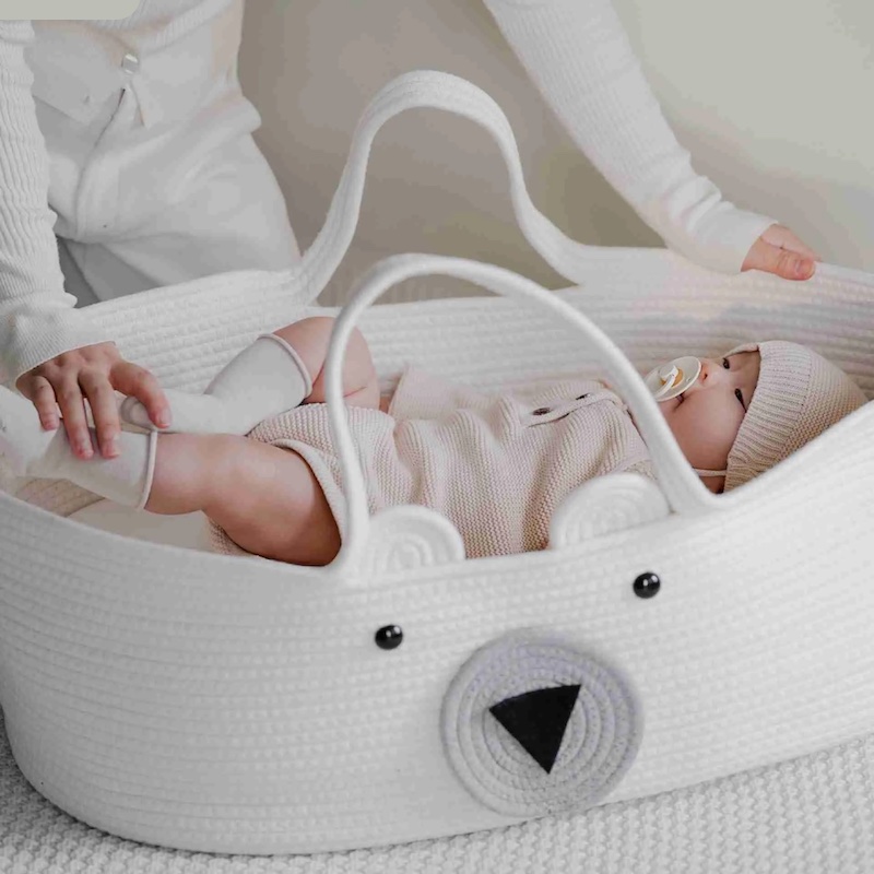 baby basket carrier